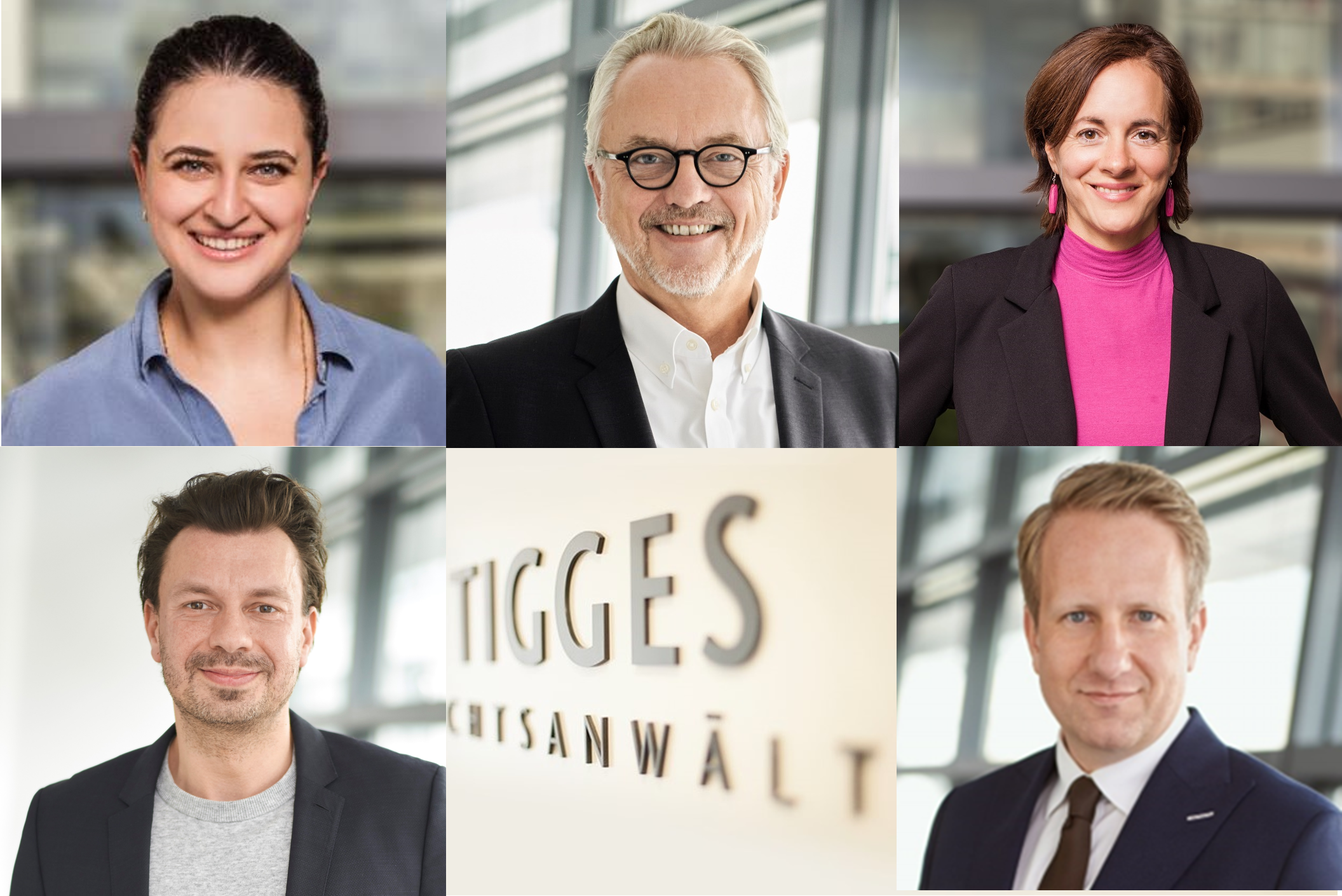 Team Immobilien